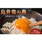 卵 烏骨鶏卵 70個セット