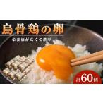 卵 烏骨鶏卵 60個セット