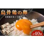 烏骨鶏卵 烏骨鶏 40個セット 卵
