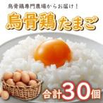 卵 烏骨鶏卵 30個セット