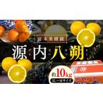 八朔 約10kg