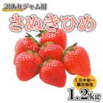 ふるさと納税 訳あり いちご 苺 美味しい さぬきひめ ジャム ジャム用 1.2kg 香川県さぬき市