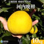日越農園 明浜産 河内晩柑 10kg