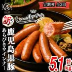 2ヶ月に1回お届け 訳あり 業務用 鹿児島黒豚あらびきウイン…