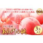 ふるさと納税 【先行予約】桃 もも 「あら川の桃」 特秀品 3個入 マルミ農園 《6月下旬-8月下旬頃出荷》 先行予約 和歌山県 紀の川市 和歌山県紀の川市