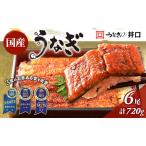 ITI優秀味覚賞受賞 うなぎ 長蒲焼き 6尾