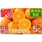 ショッピングふるさと納税 訳あり 傷 ふるさと納税 i586 ＜2026年3月下旬〜6月中旬の間に発送予定＞《傷ありのため訳あり》農6みかん(約5kg) 果物 フルーツ 柑橘 国産 鹿児島県産 .. 鹿児島県出水市