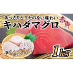 キハダマグロ 訳あり 1kg
