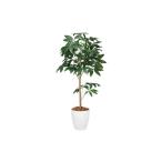 光の楽園 パキラトピアリー1.2 植物 造花