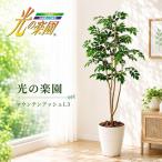 フェイクグリーン 光の楽園 マウンテンアッシュ1.3