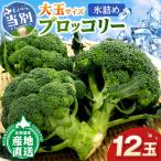 fu.... налог лед .. брокколи продольный .12 шар большой шар .....- Hokkaido данный другой блок 
