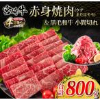 宮崎牛 赤身 焼肉 黒毛和牛 小間切れ セット 合計800g