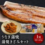 うなぎ 蒲焼