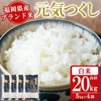 産ブランド米 元気つくし 計20kg
