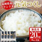 ブランド米 元気つくし 計20kg
