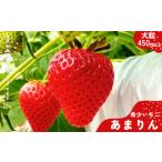 ふるさと納税 埼玉生まれの希少いちご『あまりん　大粒』（450ｇ以上）【潰れが気にならない方限定】　いちご あまりん いちご 埼玉県加須市