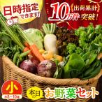 本日のお野菜セット 小サイズ 約8~10種