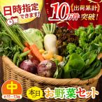 日時指定OK 本日のお野菜セット 中サイズ