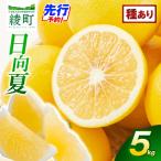 初春の旬 日向夏 種あり 5kg