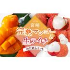 ショッピングふるさと納税 マンゴー ふるさと納税 完熟 マンゴー ライチ セット 宮崎 高級 果物 フルーツ ギフト 贈答 先行受付 送料無料（14-72） 宮崎県綾町