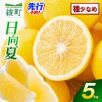 紅日向夏と日向夏の彩り箱 5kg