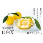 ふるさと納税 【先行予約/期間限定】初春の旬「日向夏」種なし 2.5kg / 宮崎県産 綾町産 日向夏 種無し 柑橘 日向夏 プレゼント ギフト 贈答 果物 .. 宮崎県綾町