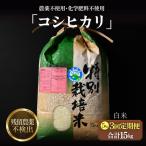 定期便 コシヒカリ 精米 5kg