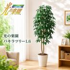 光の楽園 パキラツリー1.6 植物 造花