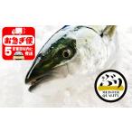 AQ-4714-202605 冷蔵 ぶり丸ごと1尾