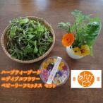 食用花 スペシャルセット ハーブティブーケ1束