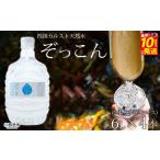 四国カルスト天然水ぞっこん 6L×2本