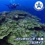 ダイビング 久米島ファンダイビング利用券1名様