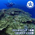 ダイビング 久米島ファンダイビング利用券1名様 1日3ダイブ…