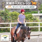 施設利用券 天城ホースビレッジ 乗馬体験