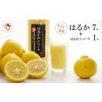 完熟 はるか 7kg