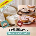 チーズケーキ ふらの雪どけチーズケーキ