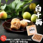白干し梅 大粒1kg