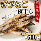 黒潮の恵み 天然物きびなご一夜干し約200g×3パック