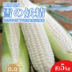 白いとうもろこし 雪の妖精 約5kg入り
