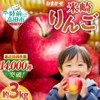 りんご 品種おまかせ3kg