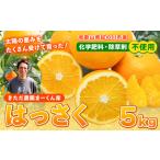 まーくん家の八朔 約5kg