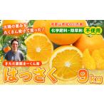 まーくん家の八朔 約9kg