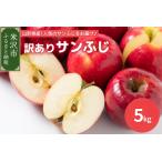 ふるさと納税 《 先行予約 》【 令和6年産 】 訳あり りんご ( サンふじ )　5kg 〔 2024年11月中下旬頃 〜 お届け 〕 家庭用 キズ等 2024年産 [0.. 山形県米沢市