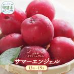 サマーエンジェル 山梨 すもも AV-20