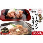 宮崎牛 サーロイン ステーキ スライス セット 計850g