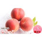 ふるさと納税 先行予約 2026年発送 浅間水蜜桃 もも なつっこ 秀品 約5kg ふるさと納税  長野県産 小諸市 桃 果物 もも フルーツ モモ 果肉 長野県小諸市