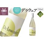デラウェア 白 720ml