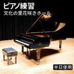 ピアノ練習 文化の里花咲きホール半日使用