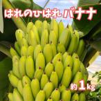 はれのひはれバナナ