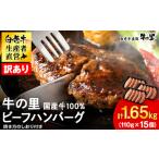 ふるさと納税 ★大容量！合計1.65kg！★訳あり・牛の里ビーフハンバーグ(110ｇ5枚入）×3 AG058 北海道白老町